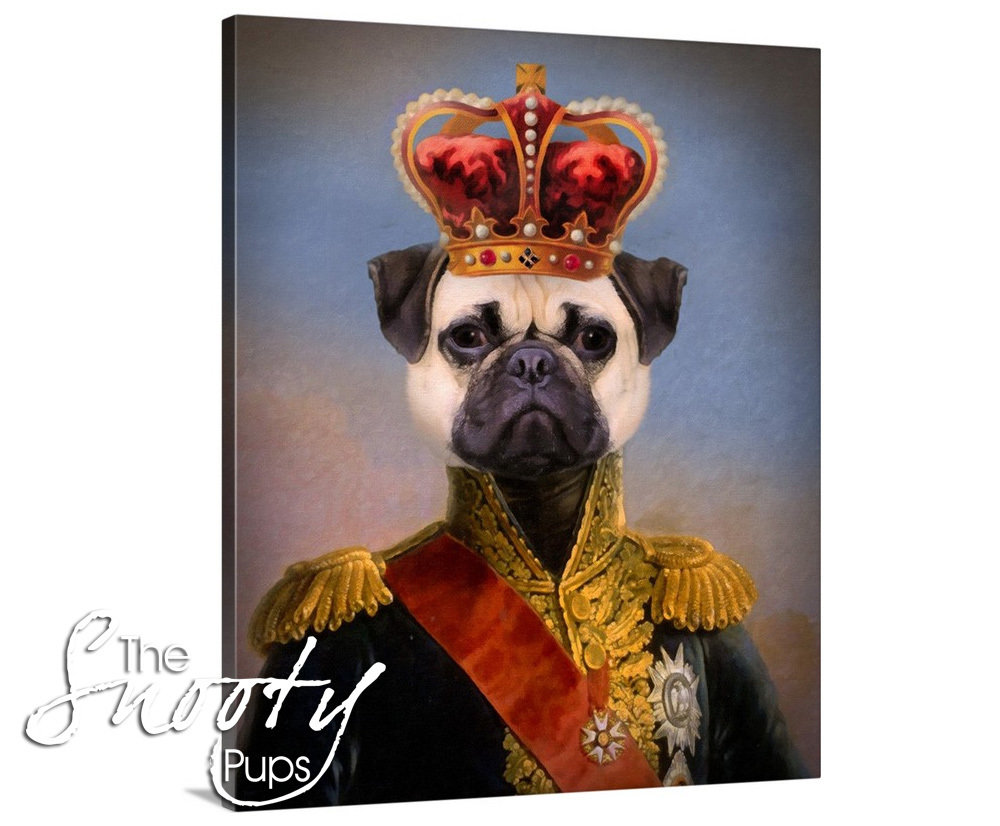 Dog Portrait