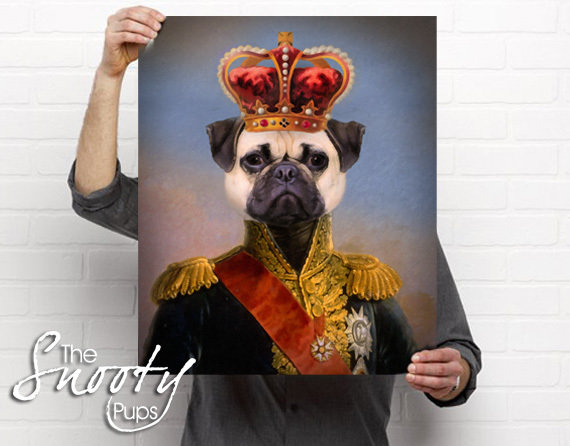 Dog Portrait