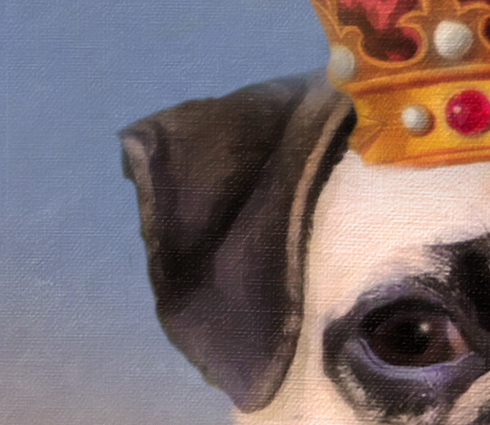 Dog Portrait
