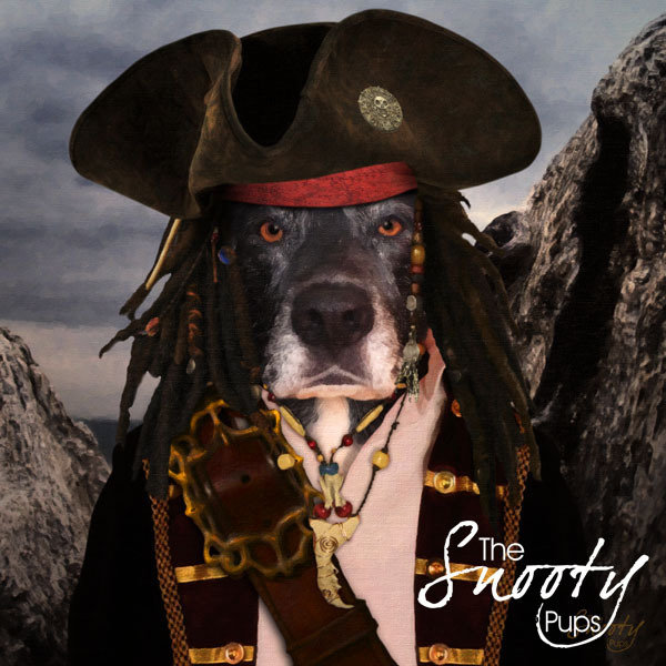 Pirate Dog Custom Portrait 00092