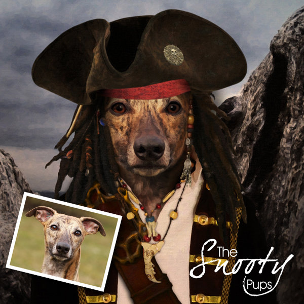Dog Portrait