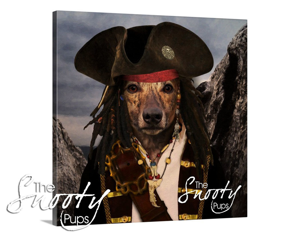 Dog Portrait