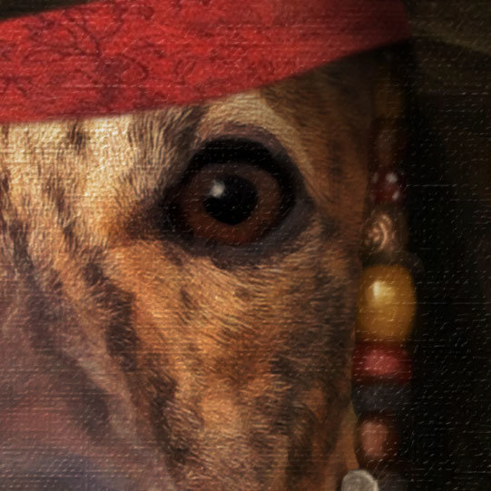 Dog Portrait