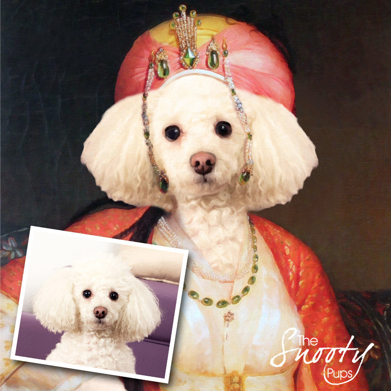 Mrs Bobbles Portrait Dog Portrait 00094