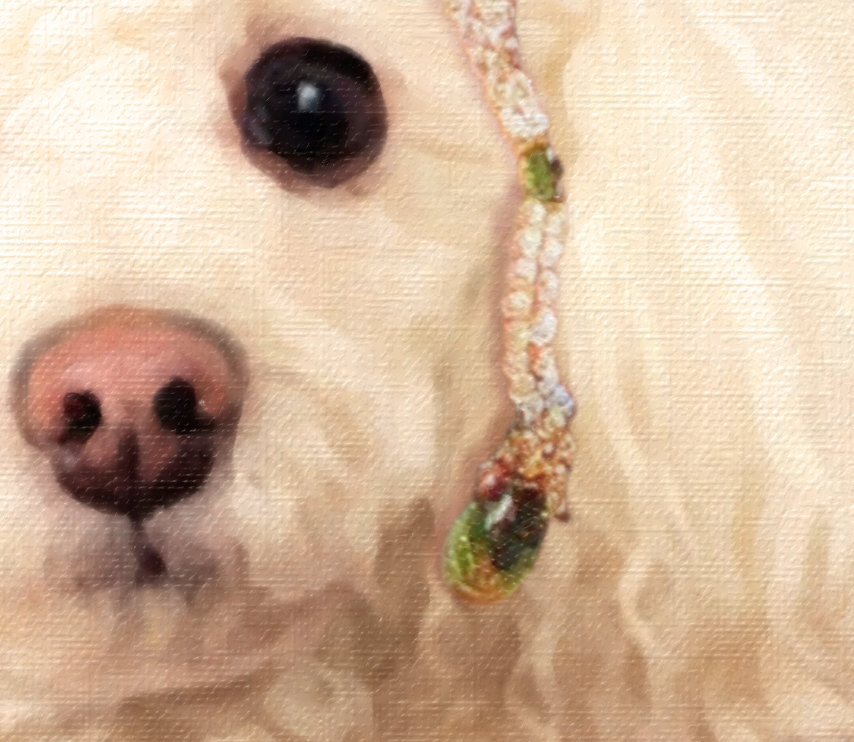 Dog Portrait