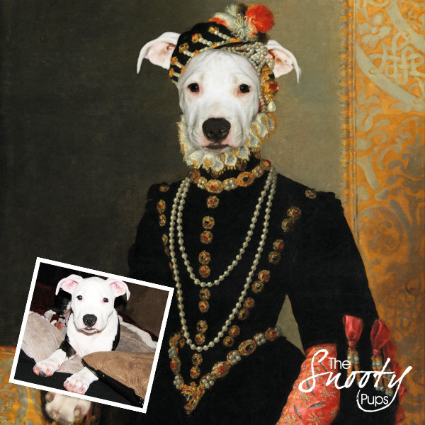 Miss Roxy Portrait Dog Portrait 00095