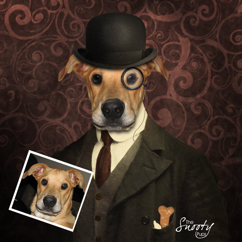 Bowler Hat Custom Dog Portrait 00096