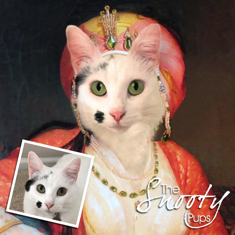 Mrs Bobbles Custom Cat Portrait 00097