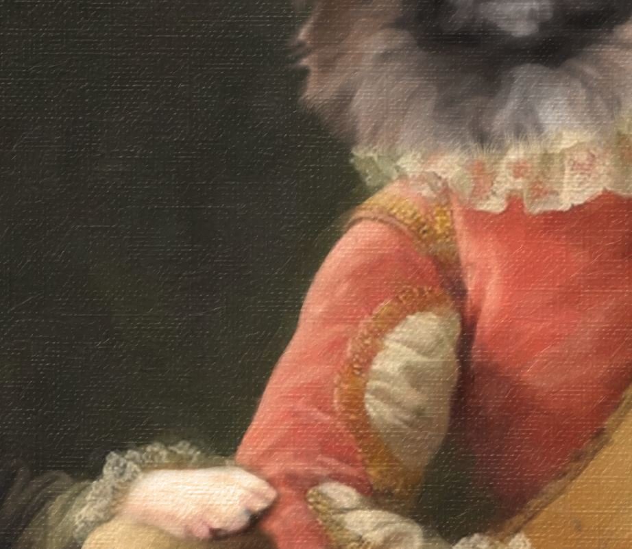 Couple Dog Portraits