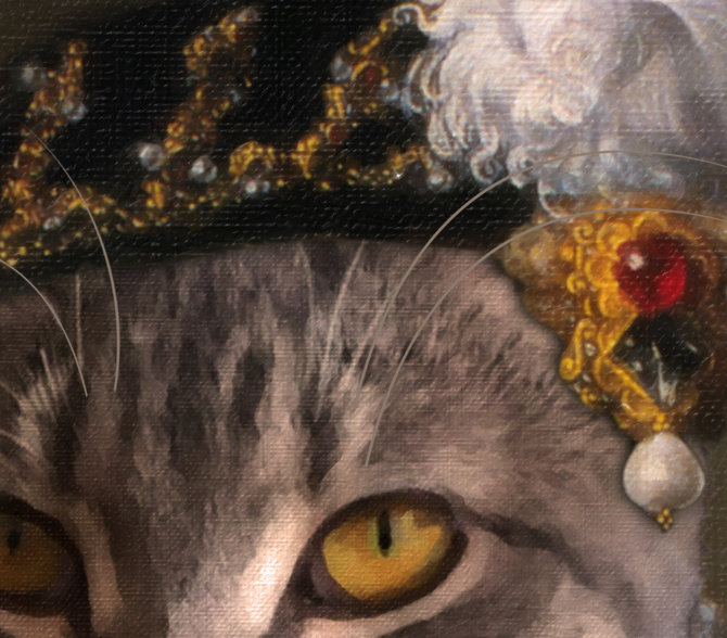 Miss Bell Portrait Cat Portrait