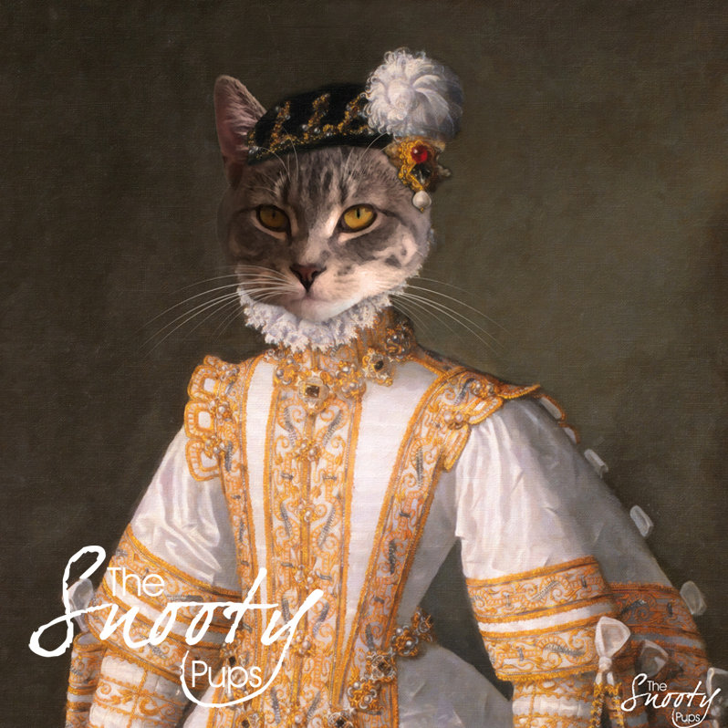 Miss Bell Portrait Cat Portrait 00109