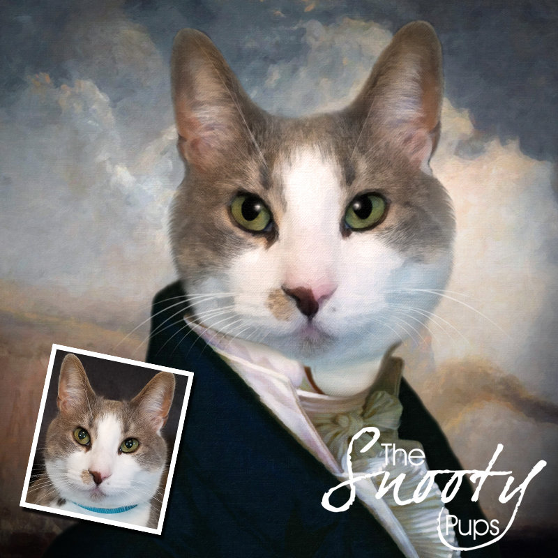 Gentleman Custom Cat Portrait 00110