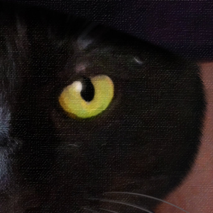 Sargent Custom Cat Portrait