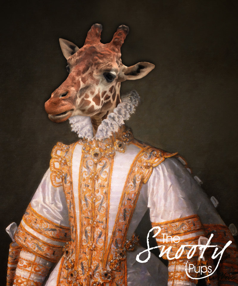 Giraffe Portrait 00114