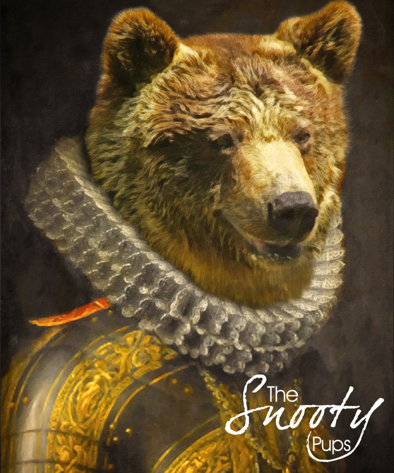 Bear Picture, Bear Portrait, Bear Print 00115