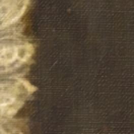 Bear Picture, Bear Portrait, Bear Print