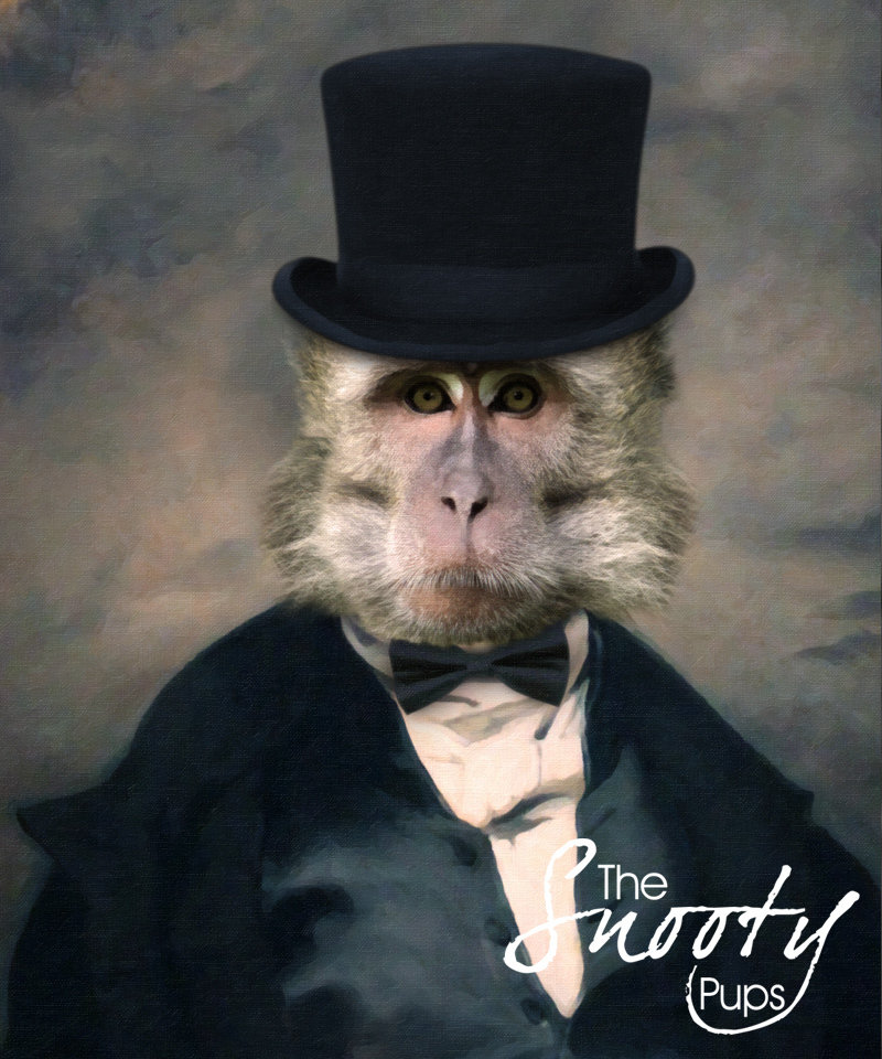 Monkey Portrait 00118