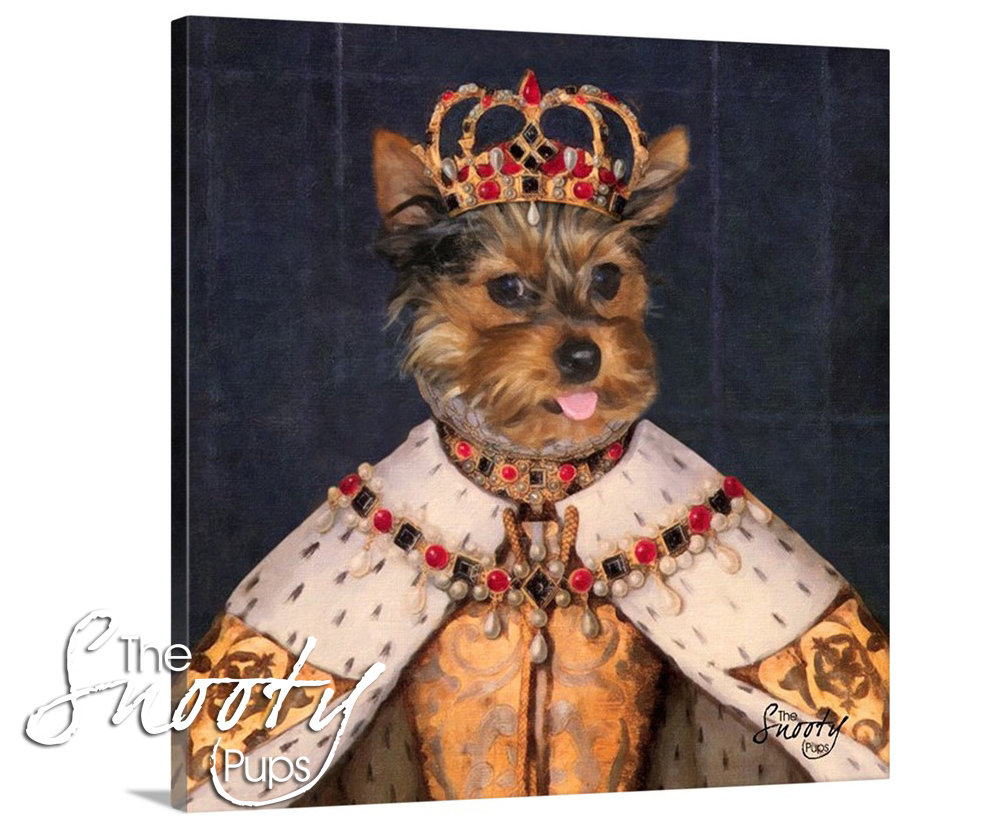 Yorkie Portrait