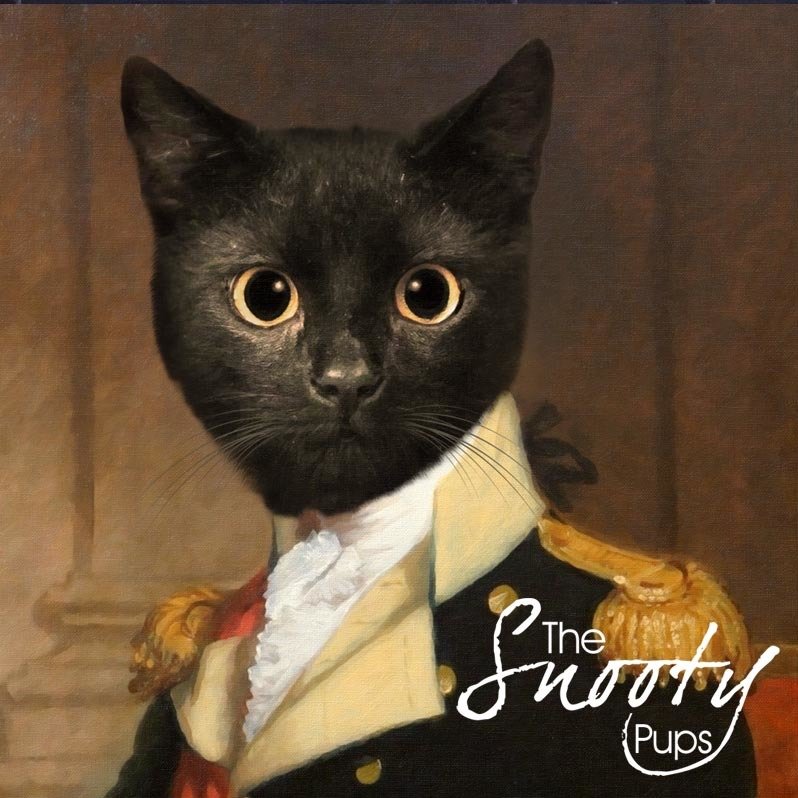 General Custom Cat Portrait 00135