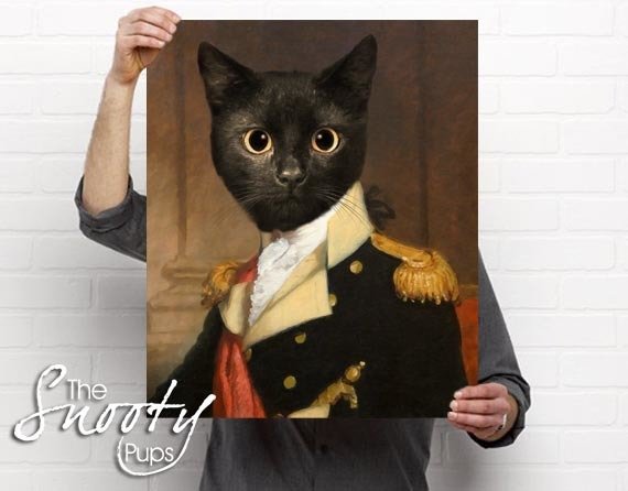 General Cat Portrait Poster