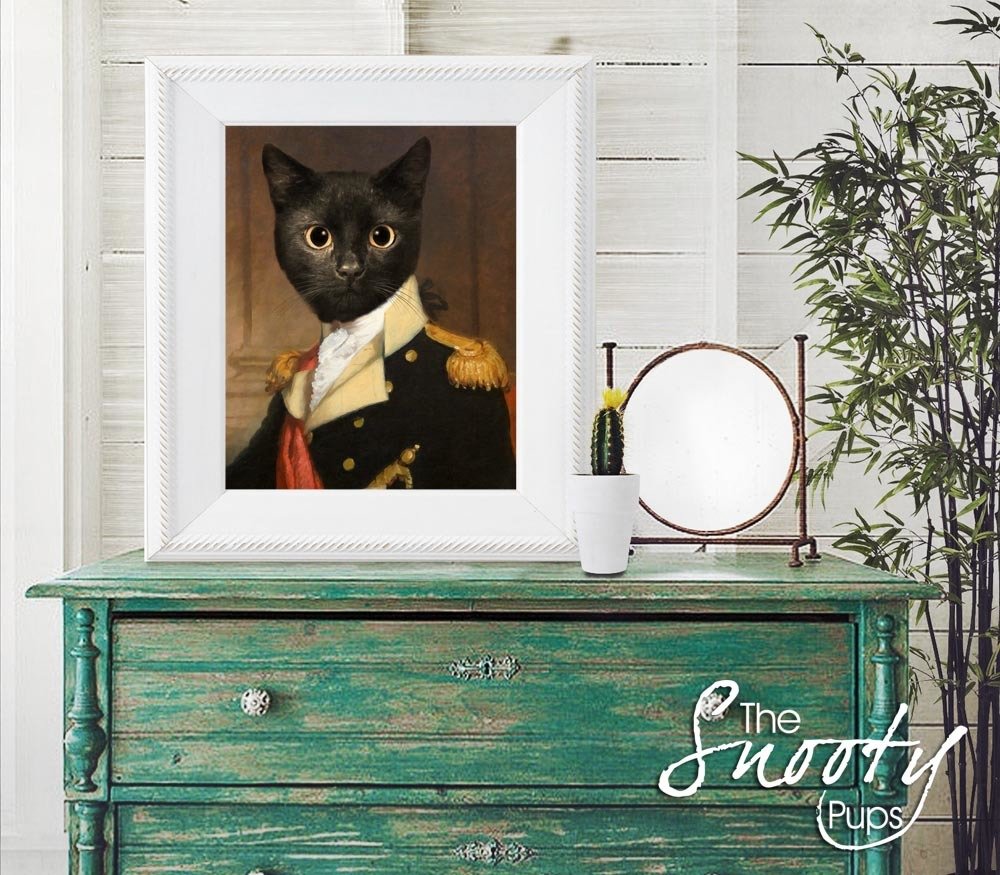 General Cat Portrait