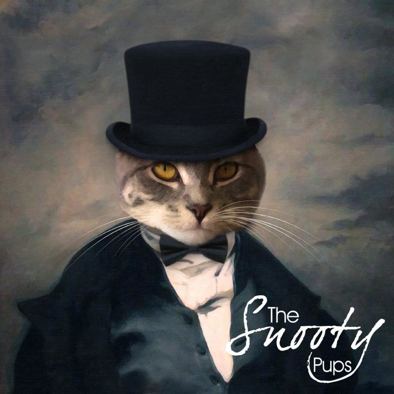 Mr Stogy Portrait Cat Portrait 00128