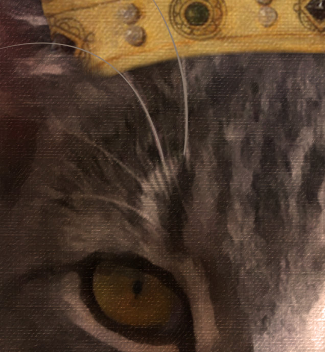 King Custom Cat Portrait