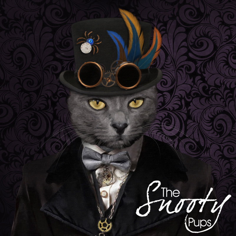 Steampunk Custom Cat Portrait 00141