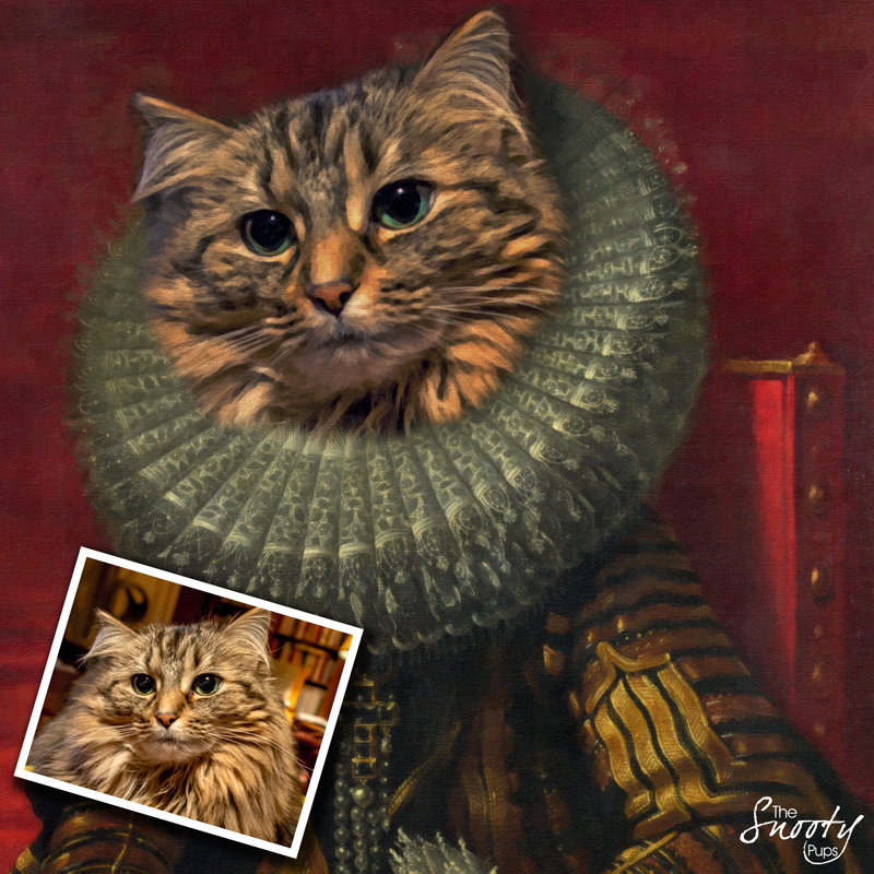 Victorian Custom Cat Portrait 00143