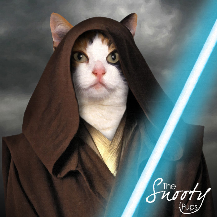 Obi Wan Start Wars Custom Cat Portrait 00151