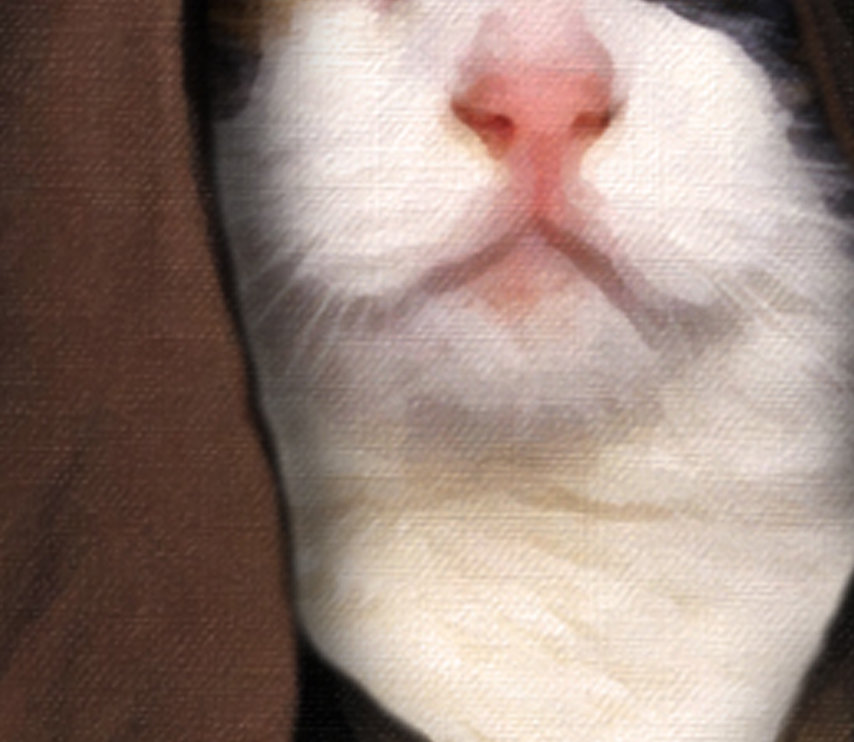 Obi Wan Start Wars Custom Cat Portrait