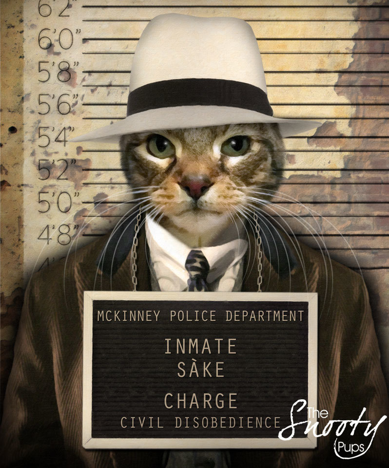 Mobster Custom Cat Portrait 00168