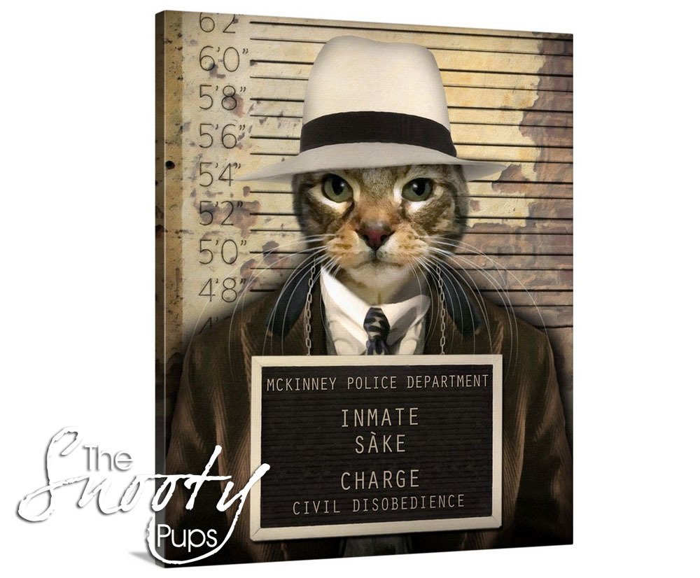 Mobster Cat Portrait Canvas
