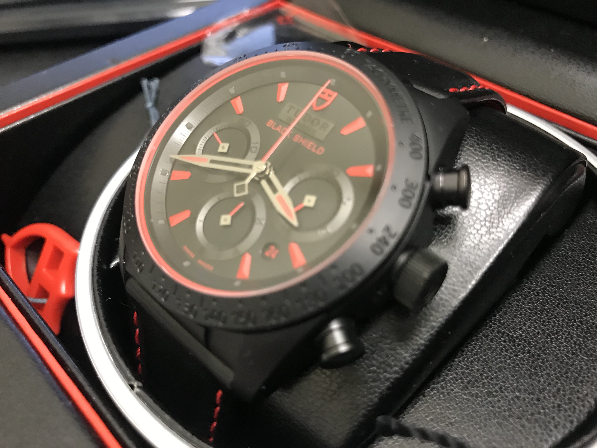 Tudor Fastrider