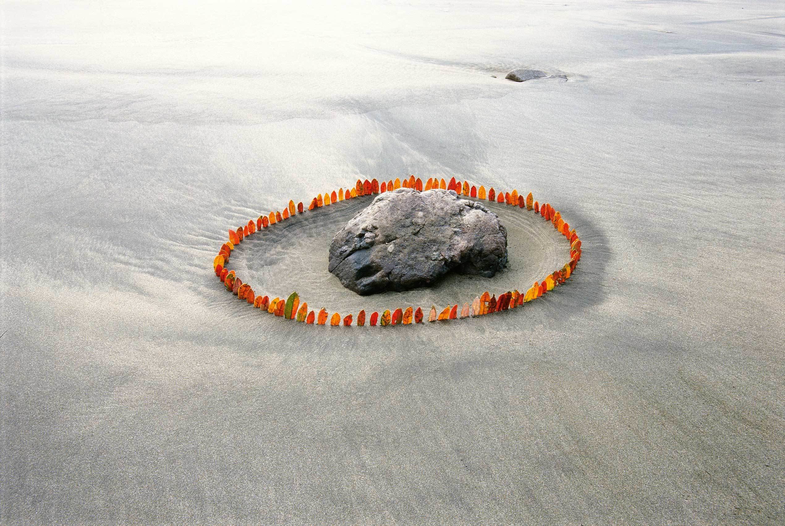 Encircled Stone 31