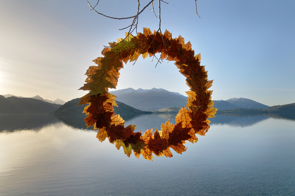 Autumn Leaf Cycle 45