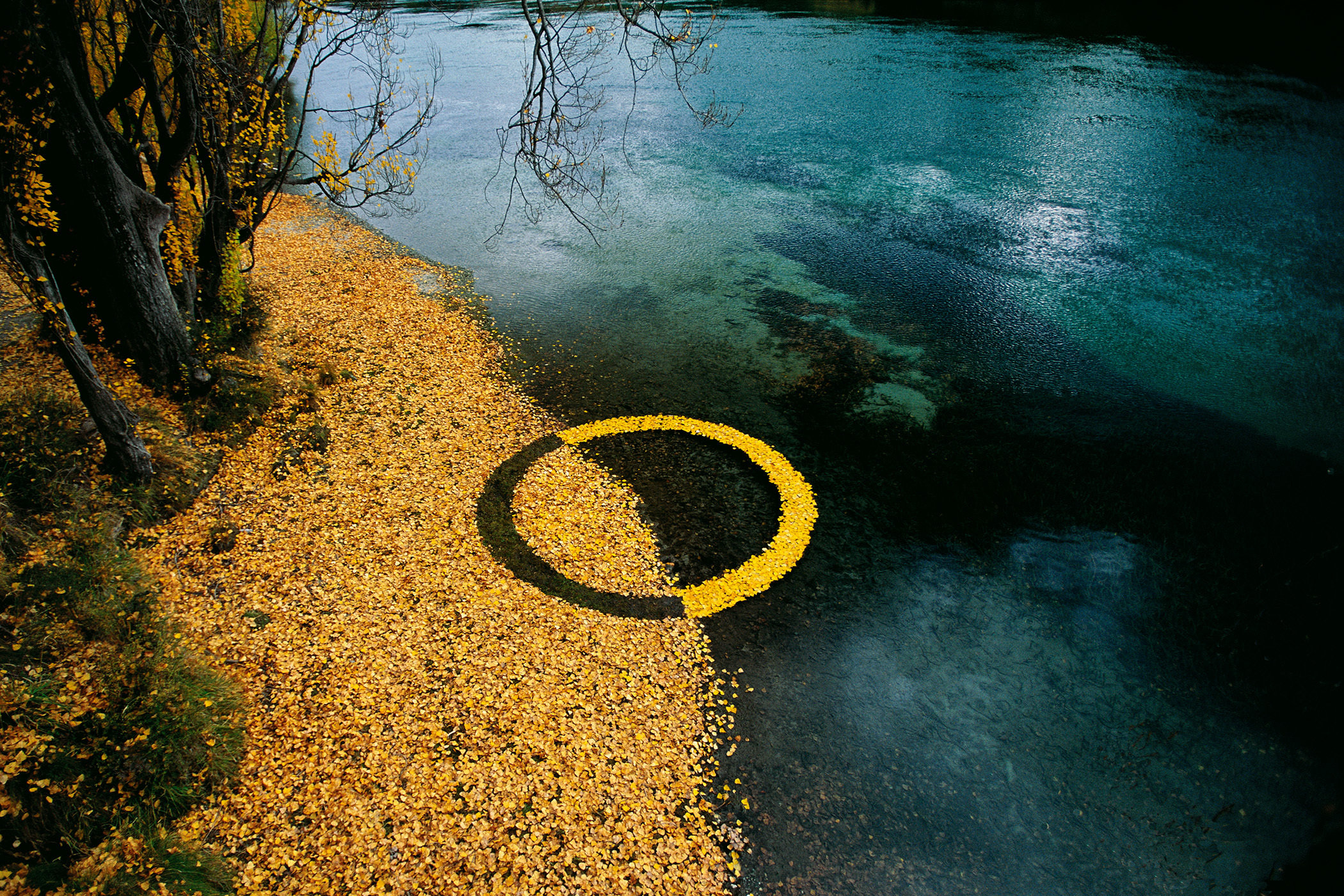 Autumn Leaf Circle 52