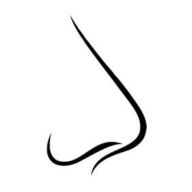 Rhinoplasty Rhinoplasty