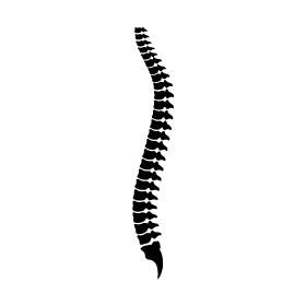 Lumbar Spinal Canal Stenosis Lumbar Spinal Canal Stenosis
