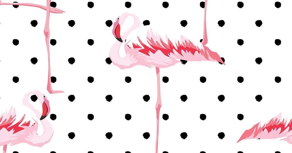Espadrille PAYOTE Juliette imprimé à pois et flamants roses