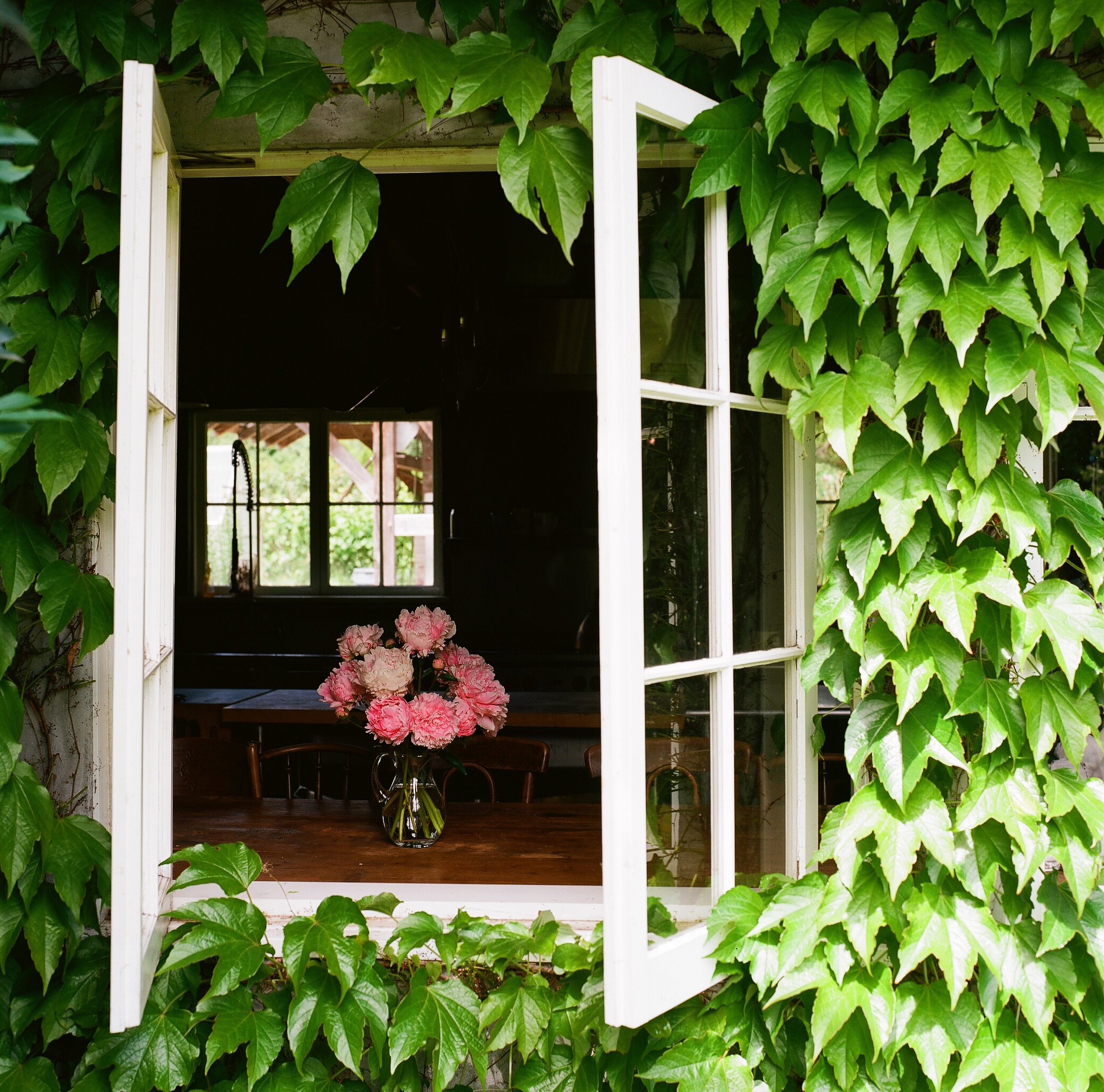 August 4 - Creating a Garden Inspired Floral Arrangement with Nisha Klein summer2019-07