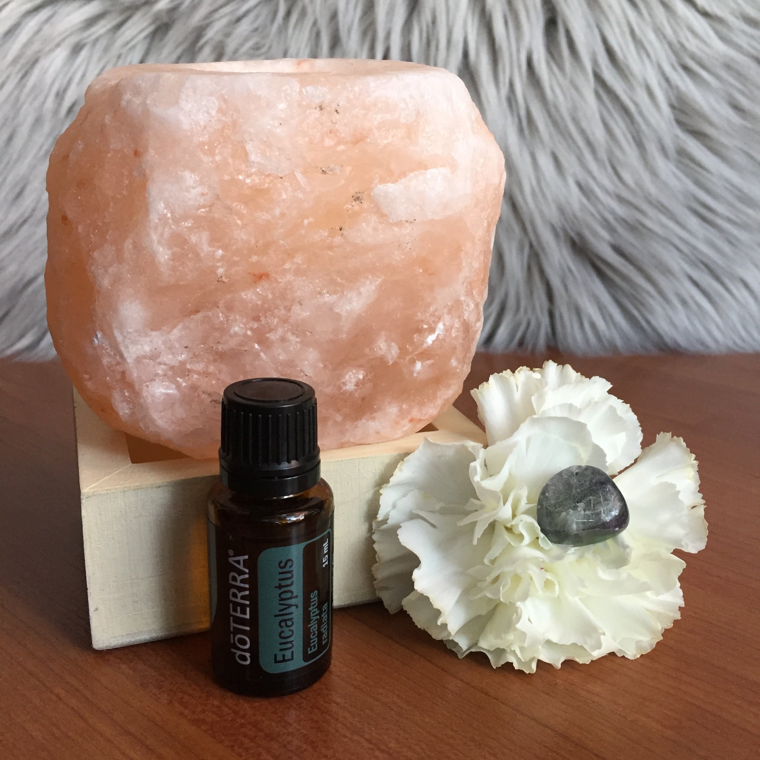 Bundle: Eucalyptus + Fluorite 00058