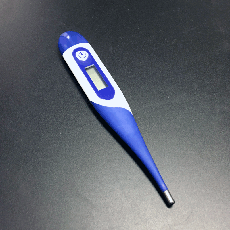 Digital Thermometer