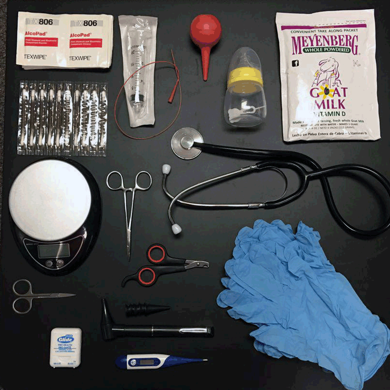 Puppy Care Kit