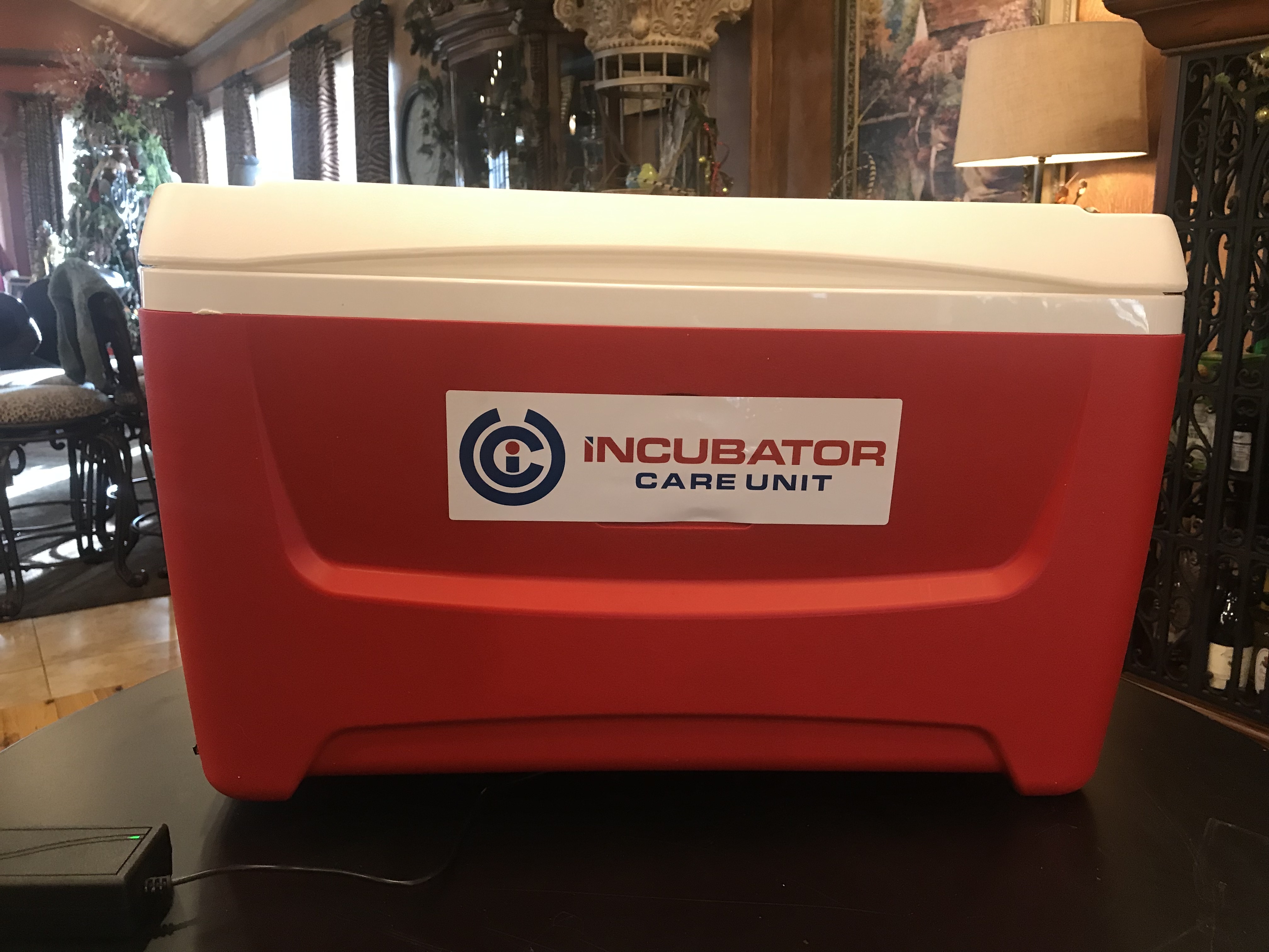 Incubator Care Unit (lg) 2002