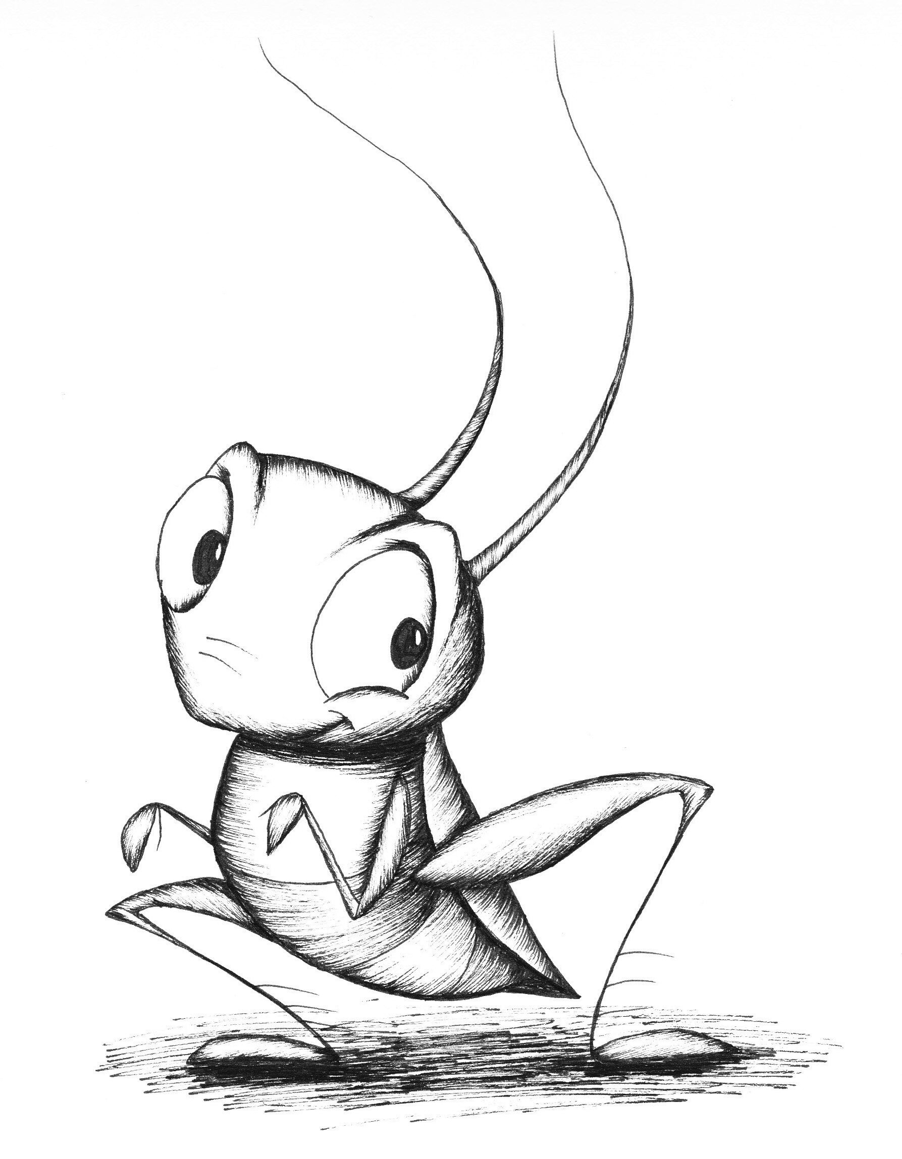 Cricket drawing Draw006