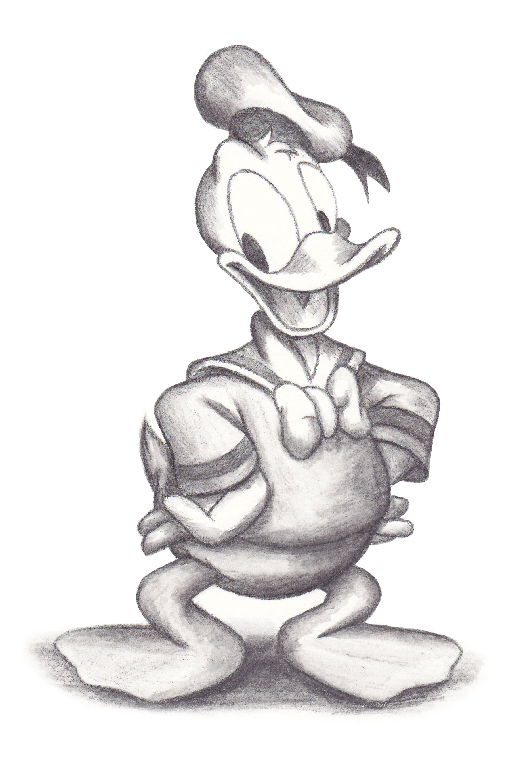 Duck drawing Draw008