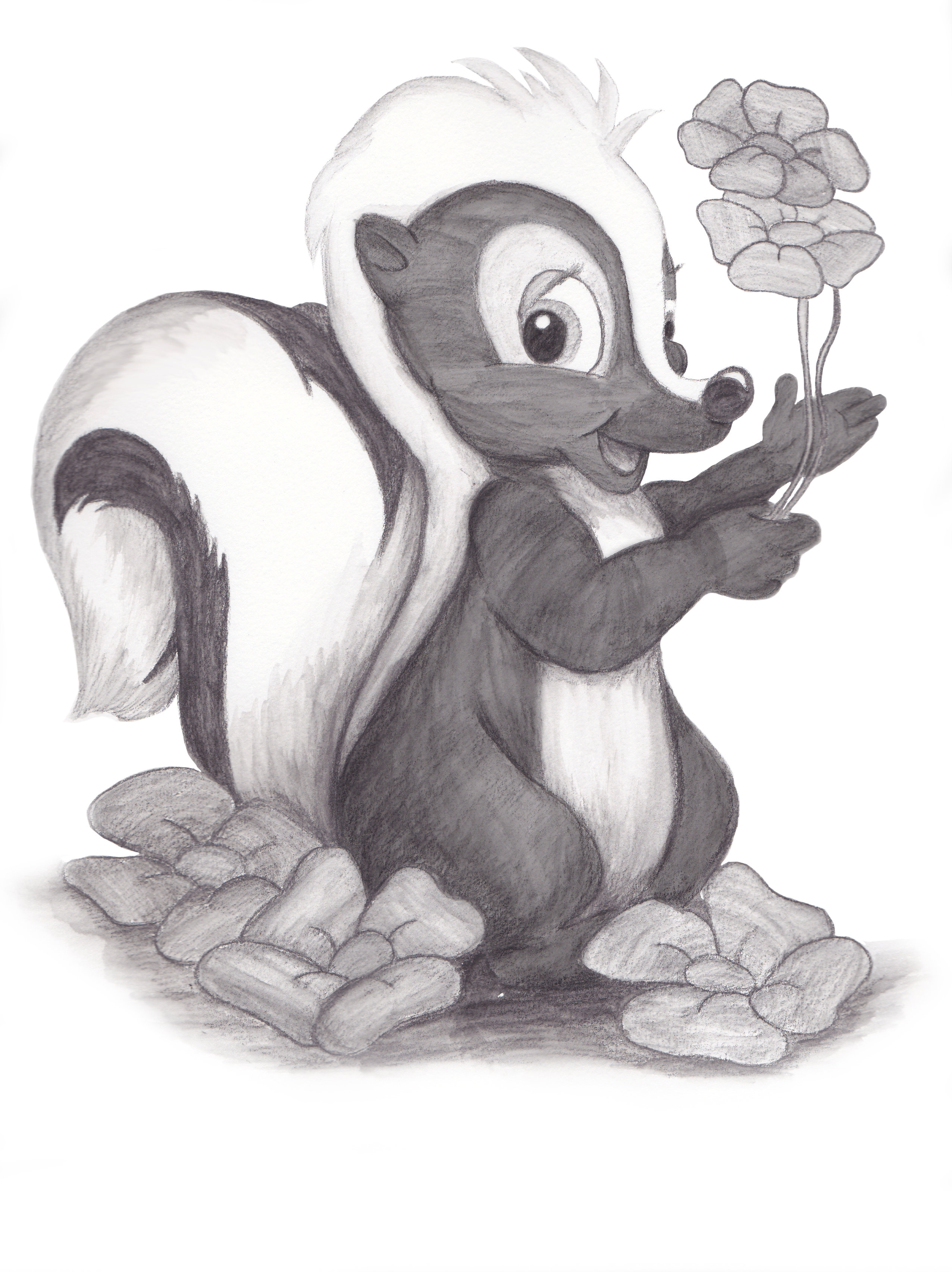 Skunk drawing Draw015