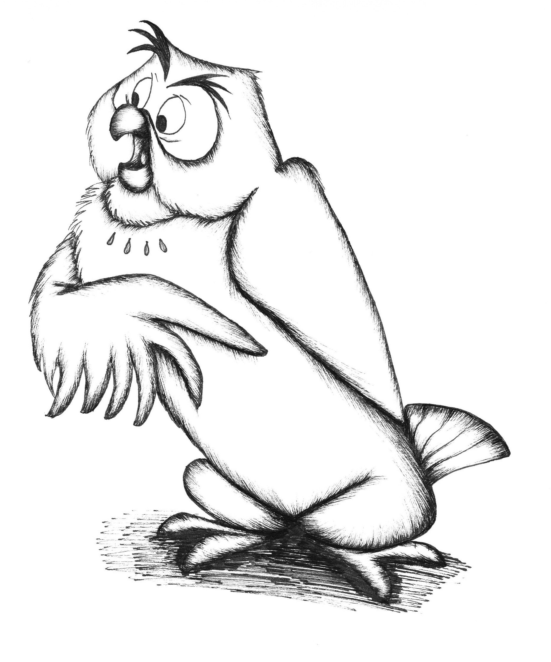Owl drawing Draw029