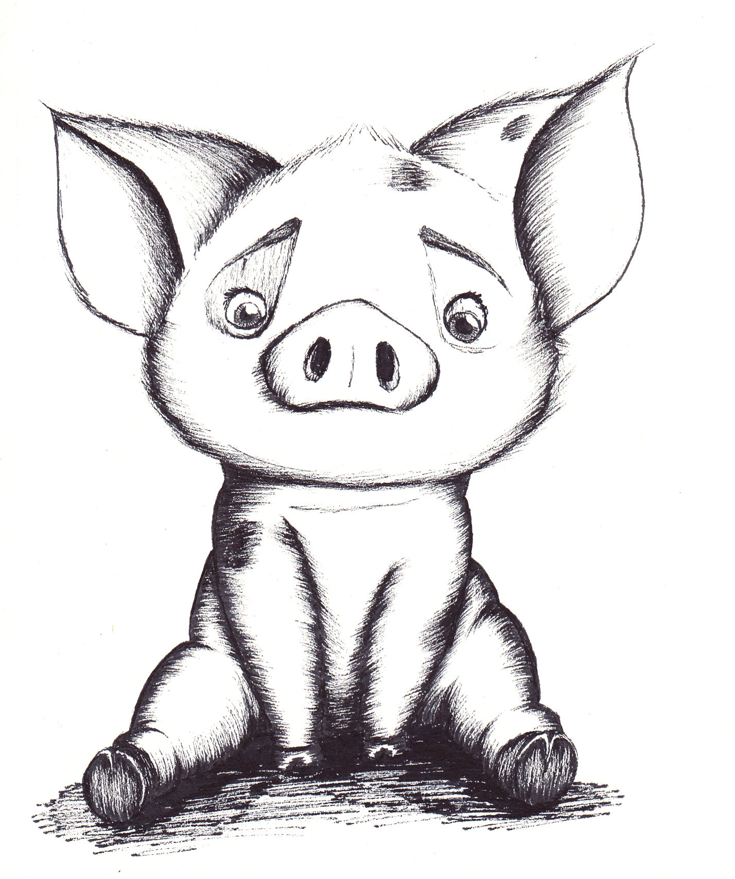 Pig drawing Draw033